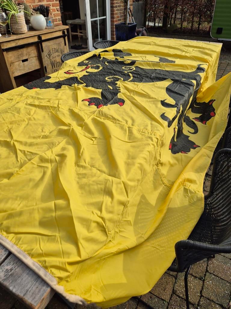 Vlaamse Leeuw vlag, Enlèvement