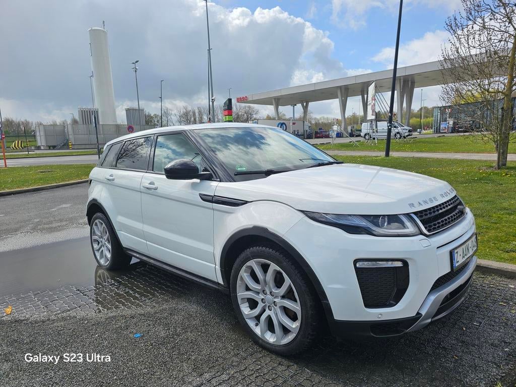 LAND ROVER EVOQUE, Auto's, Land Rover, Automaat, Wit, Leder, Bedrijf