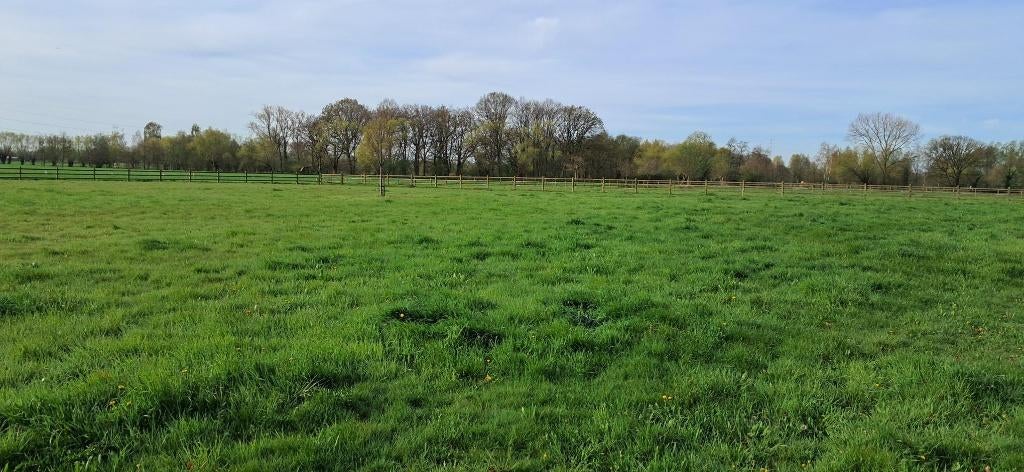 Mooi omheinde weide met schuilhok te huur, Dieren en Toebehoren, Stalling en Weidegang, Weidegang, 2 of 3 paarden of pony's