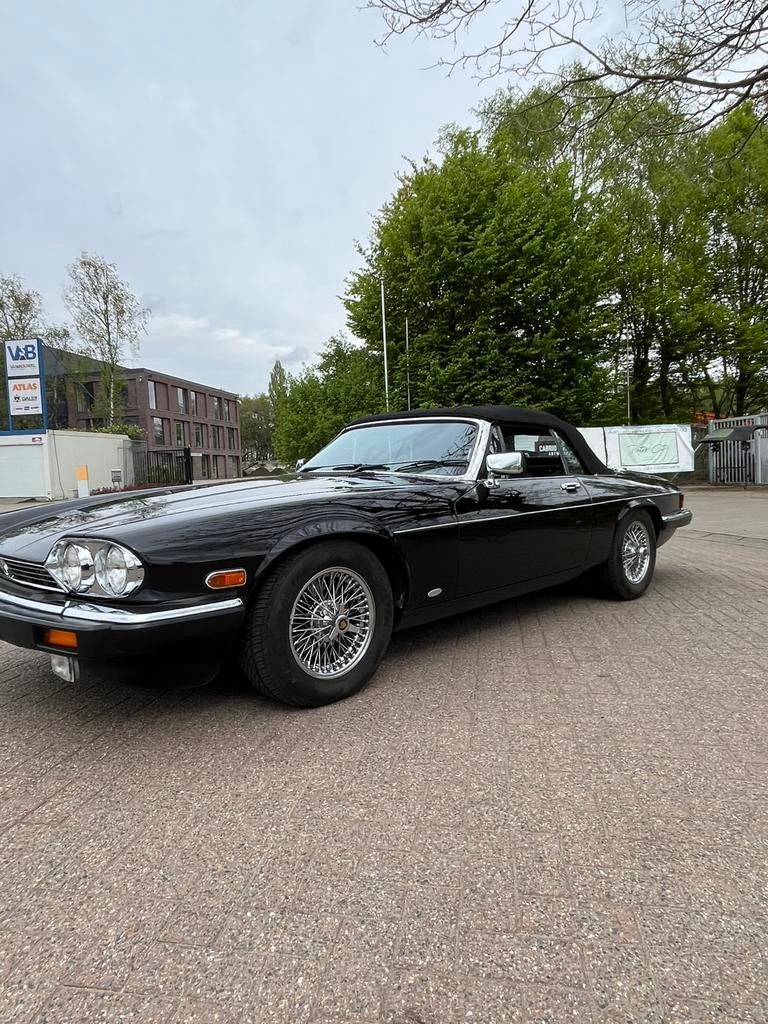 Jaguar XJS V12 Hess & Eisenhardt, Autos, Cuir, Achat, 5400 cm³, Entreprise