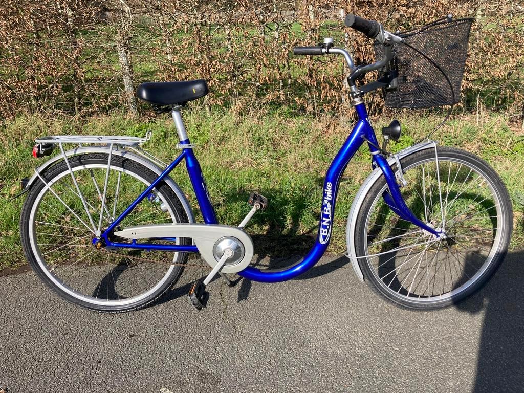 Damesfiets lage instap, Fietsen en Brommers, Fietsen | Driewielfietsen, Ophalen, Zo goed als nieuw