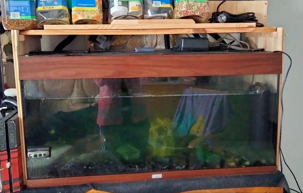 Aquarium met opbouw 100cm lengte, Dieren en Toebehoren, Ophalen, Gebruikt