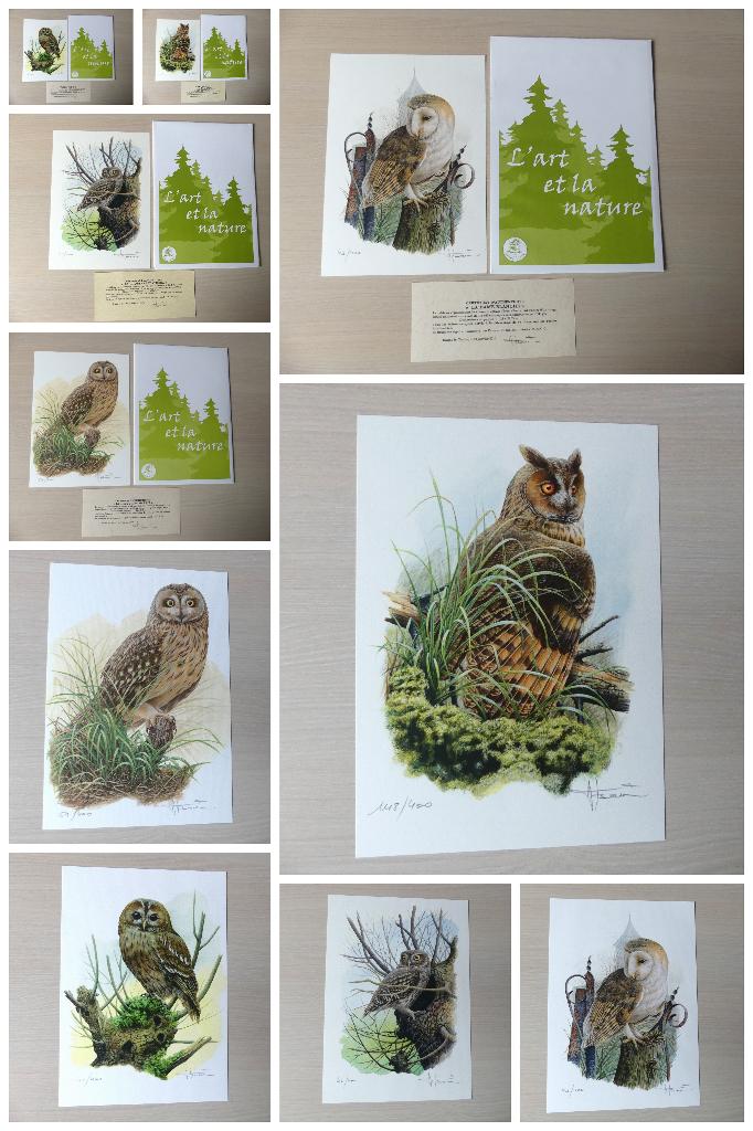 5 prachtige genummerde tekeningen A4 Buzin met certificaat, Ophalen of Verzenden