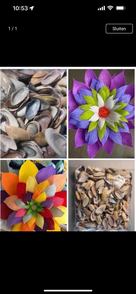 Couteaux schelpjes voor mooie bloemetjes !, Hobby en Vrije tijd, Knutselen, Ophalen of Verzenden