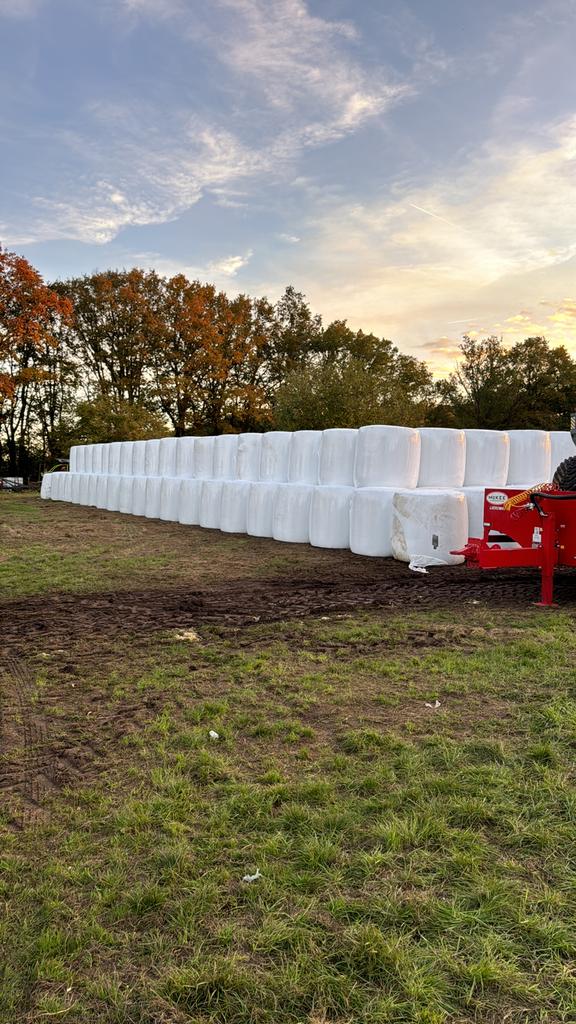 Maisbalen, Dieren en Toebehoren, Ophalen