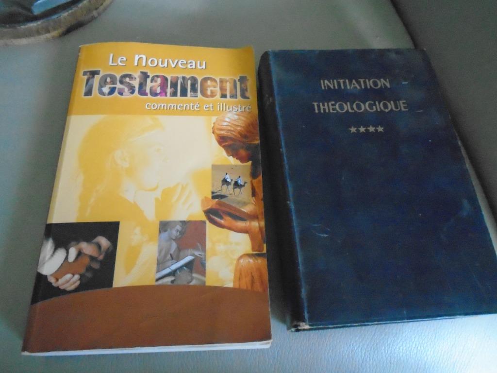 GEÏLLUSTREERD TESTAMENT/THEOLOGISCHE INITIATIE IV+GRATIS, Antiek en Kunst, Ophalen of Verzenden, DIVERS