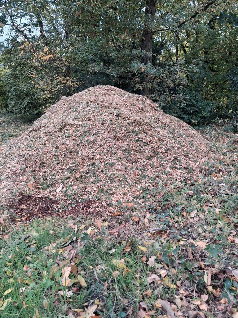 Copeaux décoratifs et protection épicéa et autres qualités, Enlèvement, Comme neuf