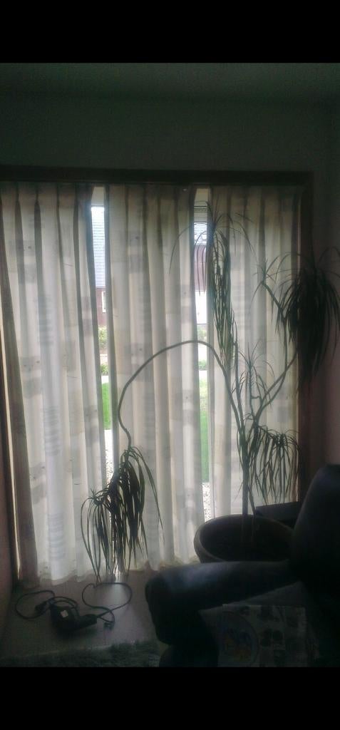 Rideaux, Maison & Meubles, Enlèvement ou Envoi, Utilisé, Blanc