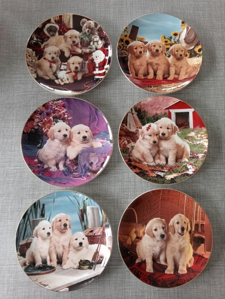 Ensemble unique de 6 assiettes Royal Doulton Golden Retrieve, Enlèvement ou Envoi, Comme neuf, Porcelaine, Assiette ou Plat