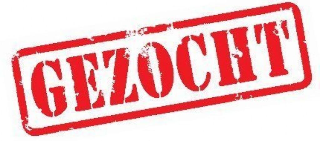 Gezocht: buckskin / dunskin quarter horse merrie, Dieren en Toebehoren, Pony's, Merrie, Niet van toepassing, Westernpony, Met stamboom