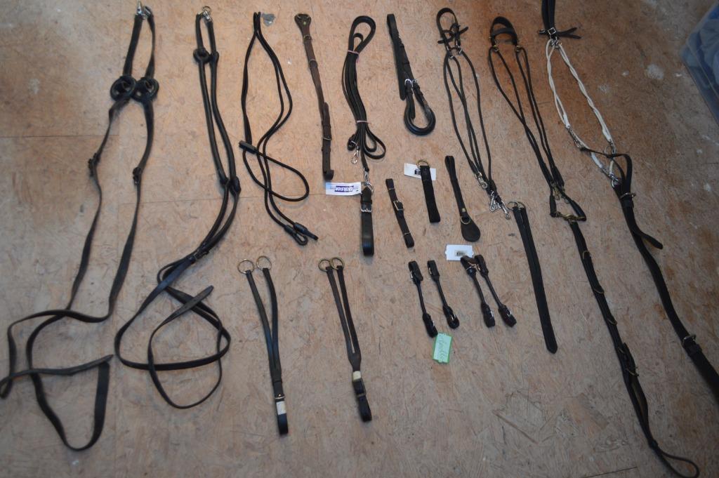 hulp teugels, Ophalen of Verzenden, Gebruikt