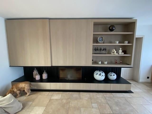 openhaard wandmeubel, Ophalen, Zo goed als nieuw, Inbouwhaard, Houthaard