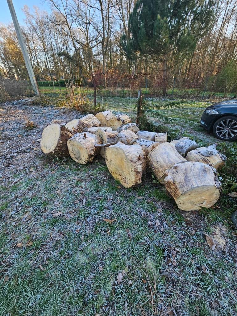 Bois de sapin, Jardin & Terrasse, Bois de chauffage, Enlèvement