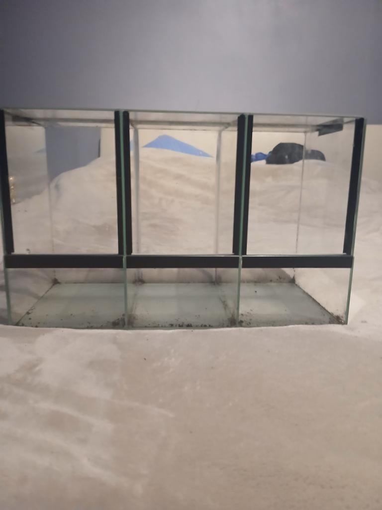 3 aan elkaar geplakte terrariums, Dieren en Toebehoren, Ophalen, Nieuw, Terrarium of Paludarium