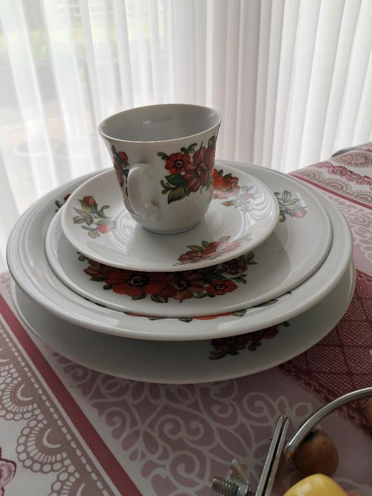 Vintage servies met bloemenmotief, Huis en Inrichting, Ophalen, Gebruikt, Bord(en)