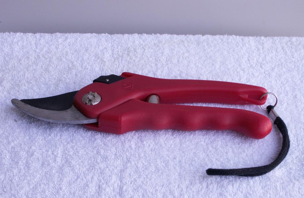 Sécateur neuf., Enlèvement ou Envoi, Neuf