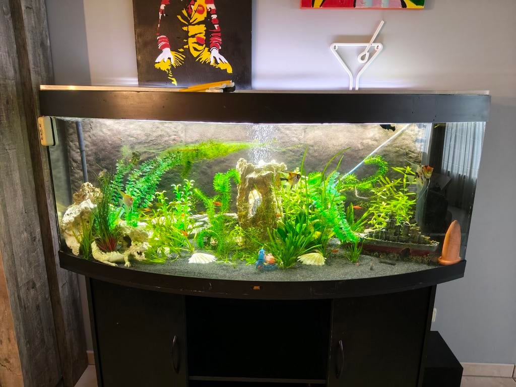 Aquarium juwel 1m50, Dieren en Toebehoren, Ophalen