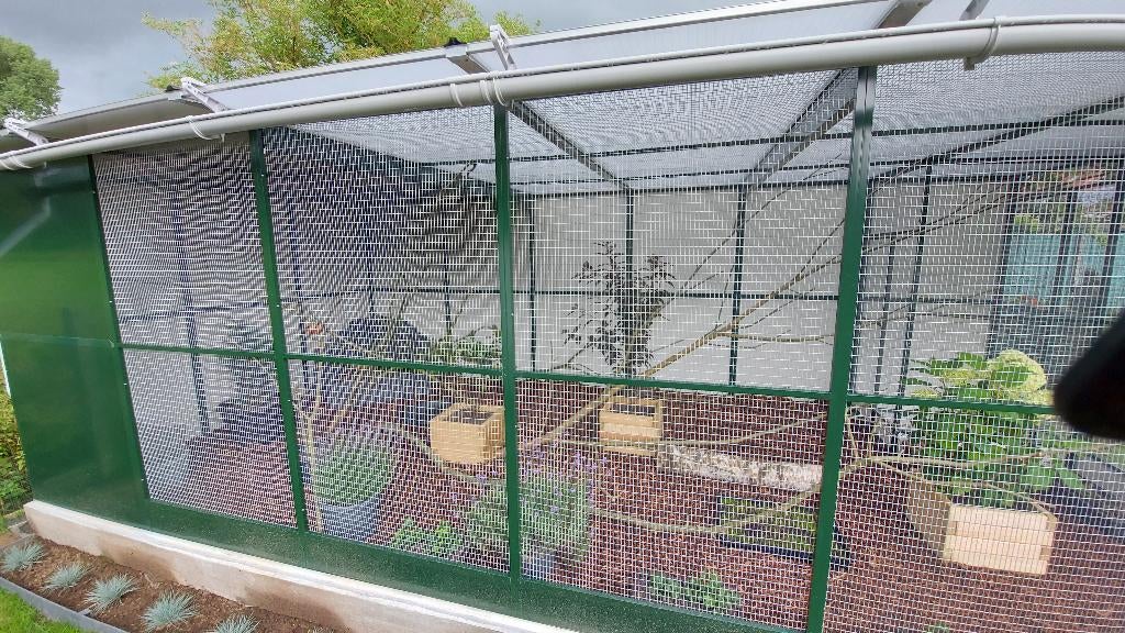 Alu voliere 6 x 3 meter, Dieren en Toebehoren, Vogels | Hokken en Kooien, Gebruikt, Volière, Aluminium, Ophalen