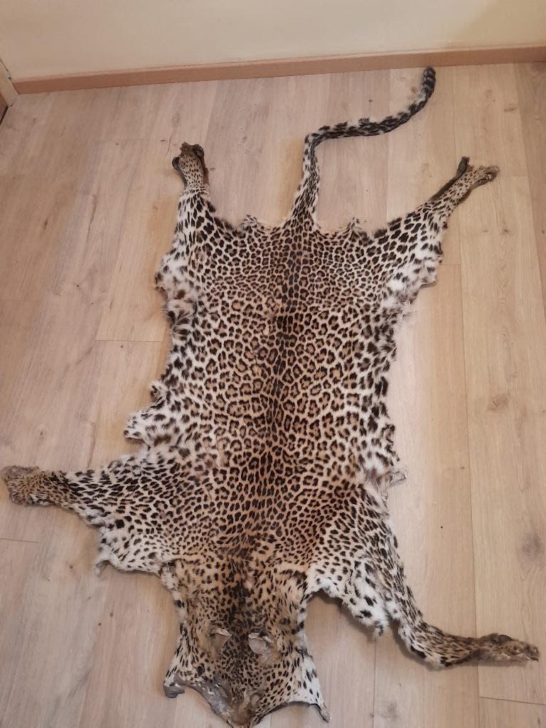 Luipaardvel, Ophalen of Verzenden