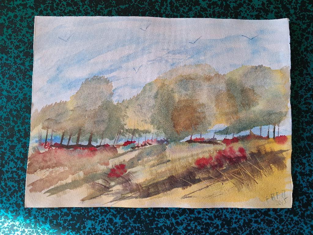 Akwarel - landschap met klaprozen, Antiek en Kunst, Ophalen of Verzenden