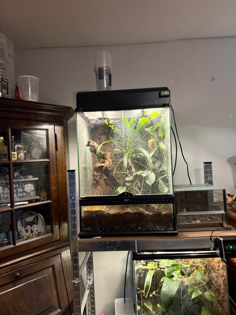 Exo terra, Dieren en Toebehoren, Ophalen, Gebruikt