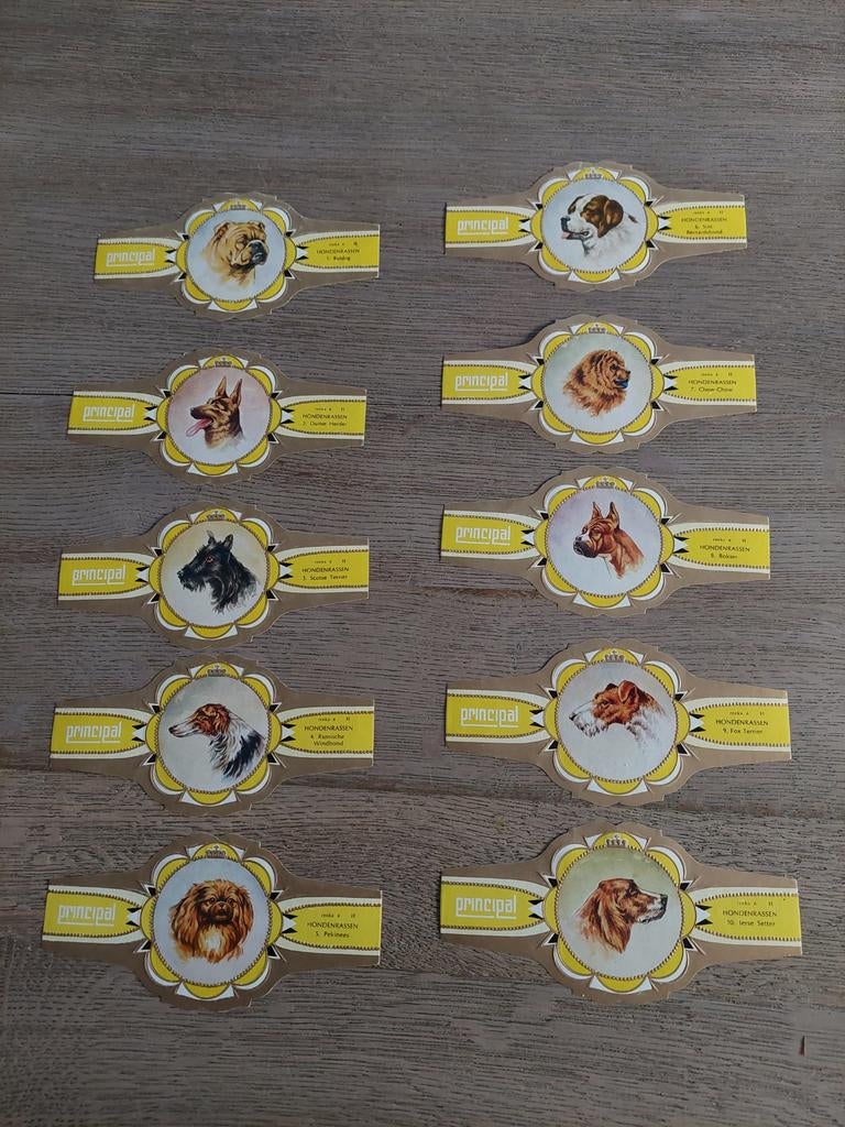 grote sigarenbandjes Principal hondenrassen reeks 6, Verzamelen, Ophalen, Sigarenbandjes