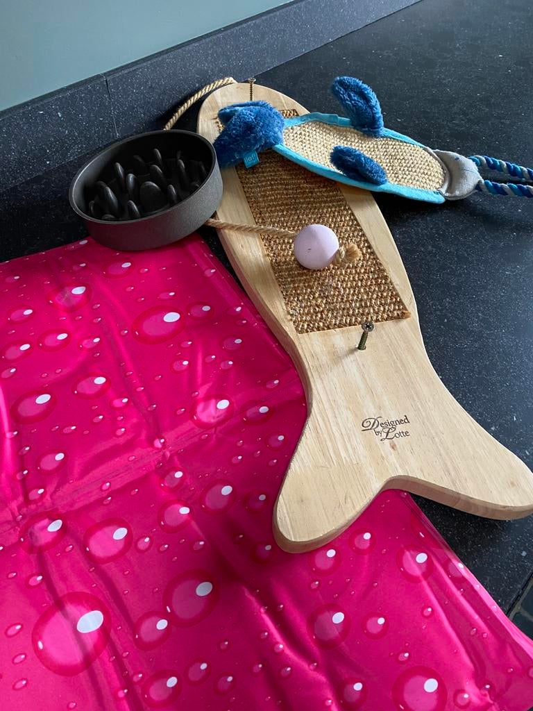 Équipement pour chat, Enlèvement, Comme neuf