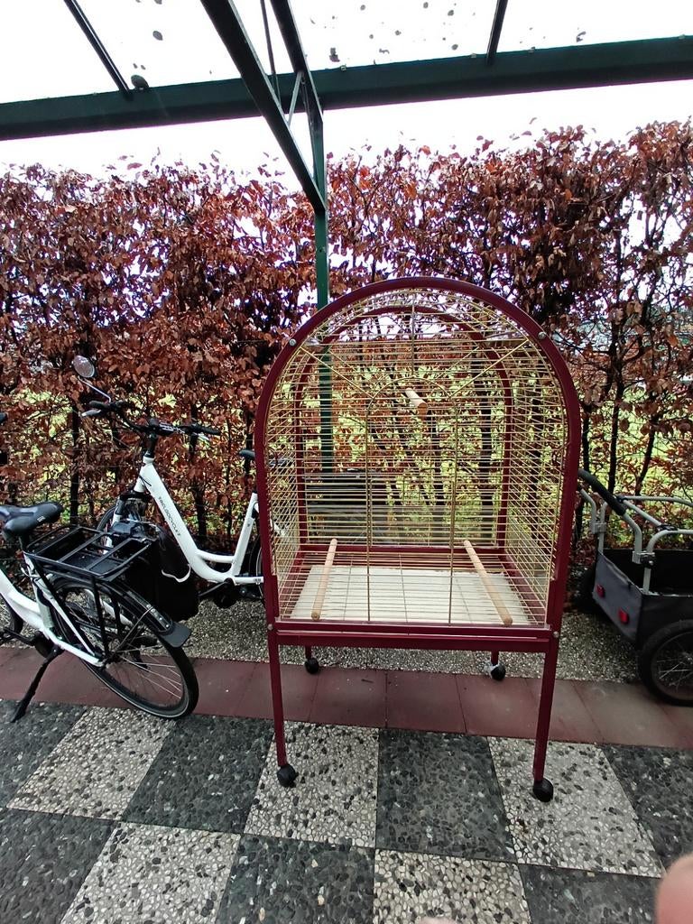 Groot vogelkooi, Ophalen, Zo goed als nieuw, Metaal, Vogelkooi