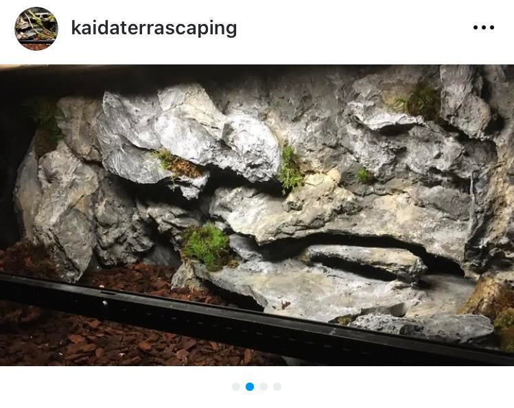 Terrarium inrichting, Dieren en Toebehoren, Ophalen, Zo goed als nieuw