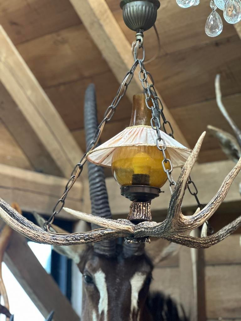 Gewei luster, Enlèvement ou Envoi