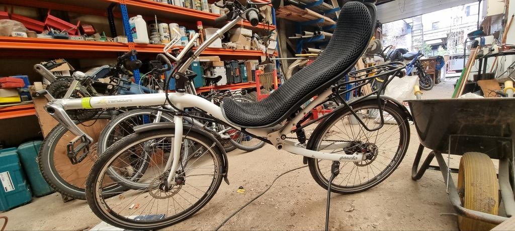 Mooie oerdegelijke en tip top inorde ligfiets, Fietsen en Brommers, Ophalen