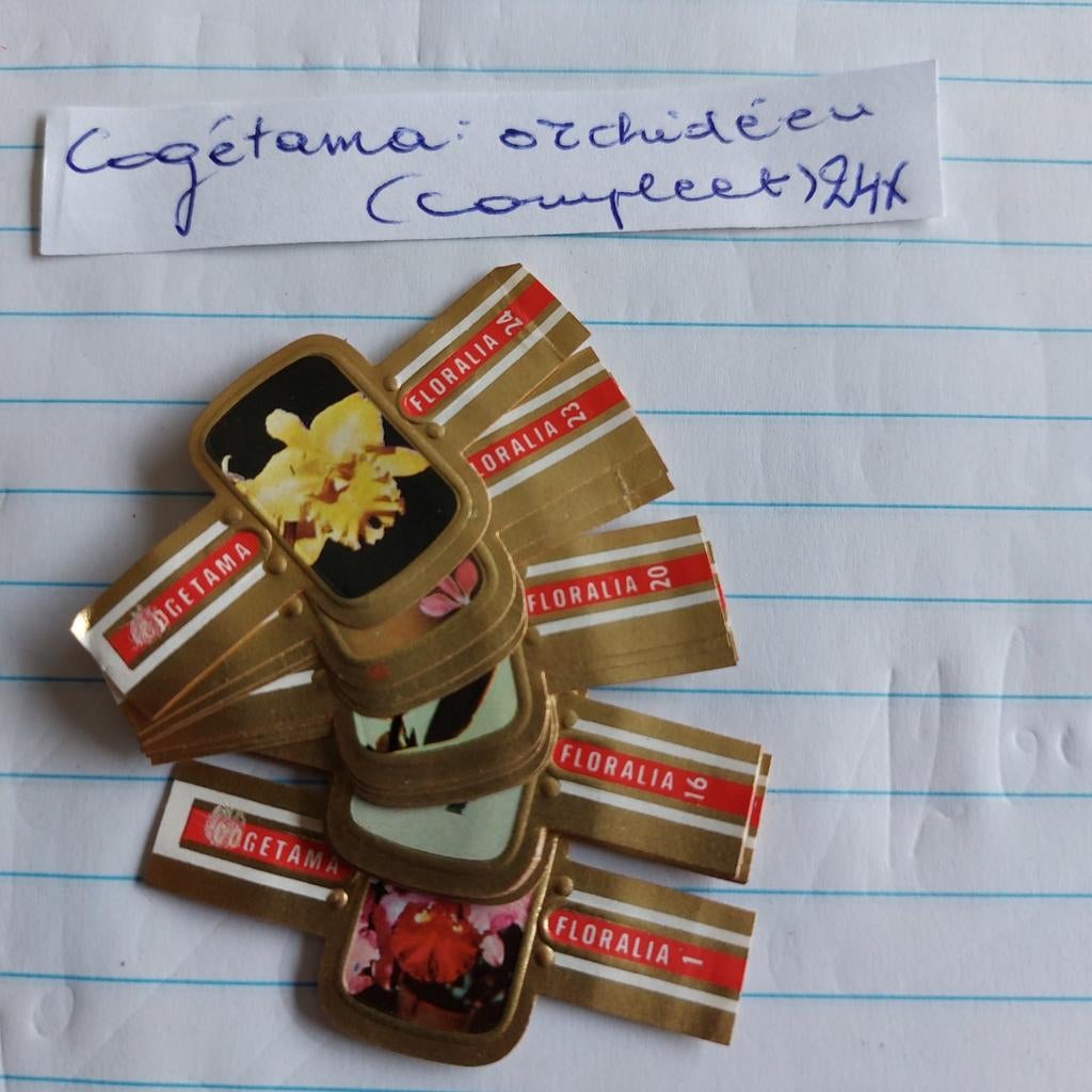 Complete reeks sigarenbandjes Cogetama : Orchideen, Verzamelen, Ophalen of Verzenden, Sigarenbandjes