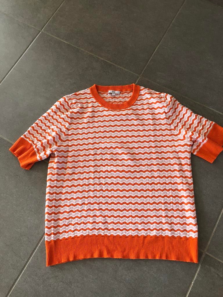 Zomertrui Jbc, maat XL, Ophalen of Verzenden, Zo goed als nieuw, Maat 46/48 (XL) of groter