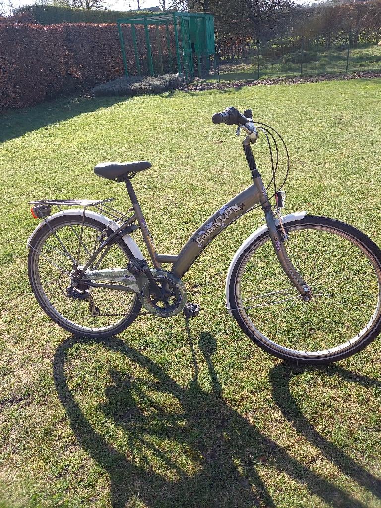 Fiets Golden Lion maat 43-53cm, Ophalen