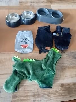 Chihuahua spulletjes, Dieren en Toebehoren, Ophalen, Zo goed als nieuw