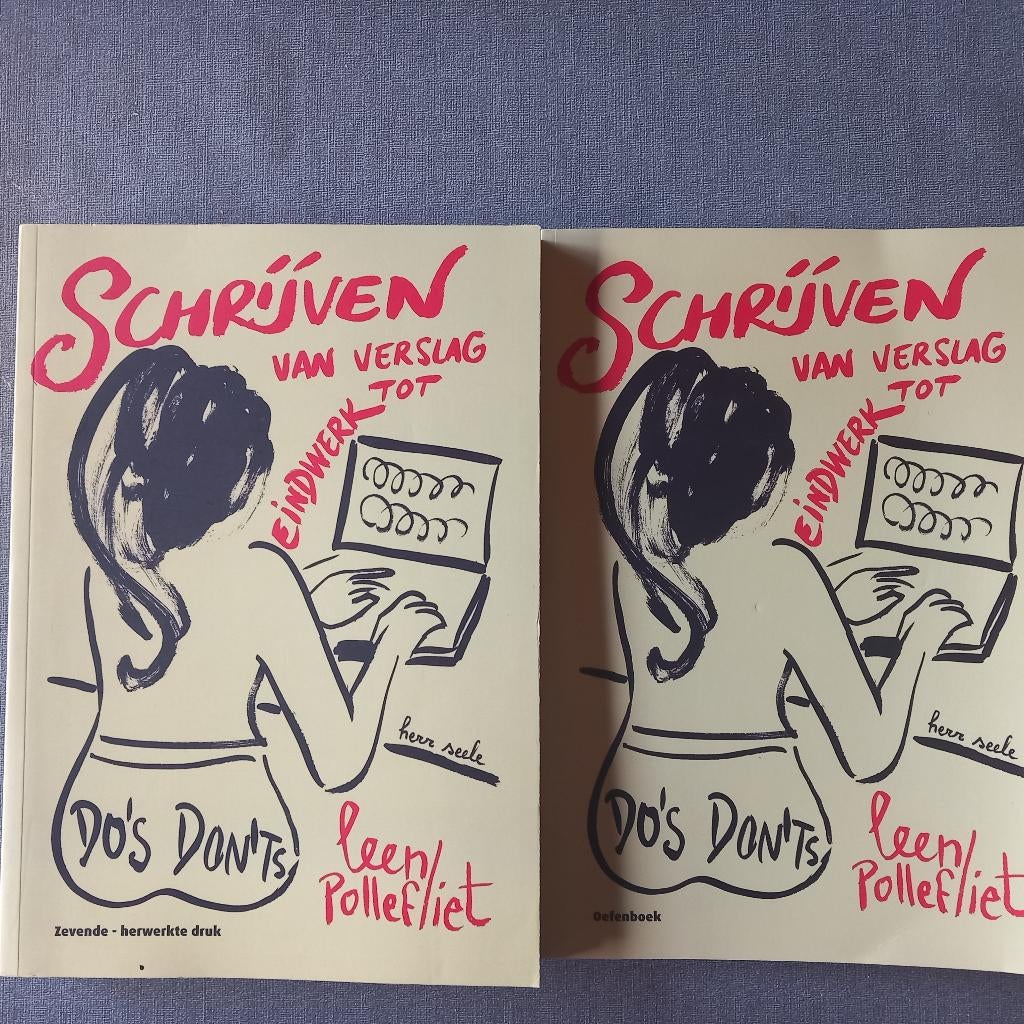 Boek 'Schrijven - van verslag tot eindwerk', Livres, Conseil, Aide & Formation, Comme neuf, Enlèvement