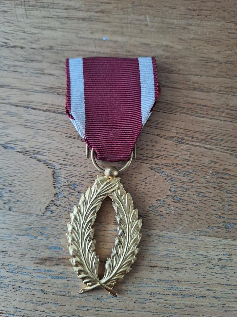 Ereteken, Verzamelen, Militaria | Algemeen, Ophalen of Verzenden