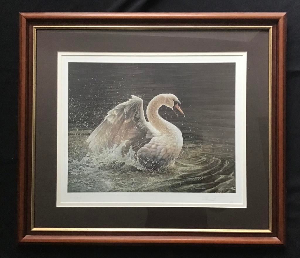 André Buzin „Baden „1999, Ophalen