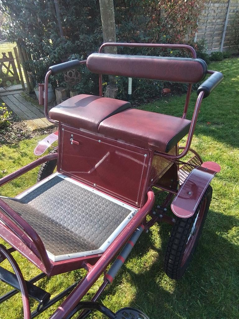 Tweewieler koets sulky marathonwagen, Marathonwagen, Paard of Pony, Gesloten