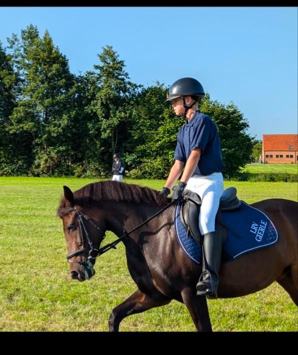 C pony, 1,35m merrie., Dieren en Toebehoren, Merrie