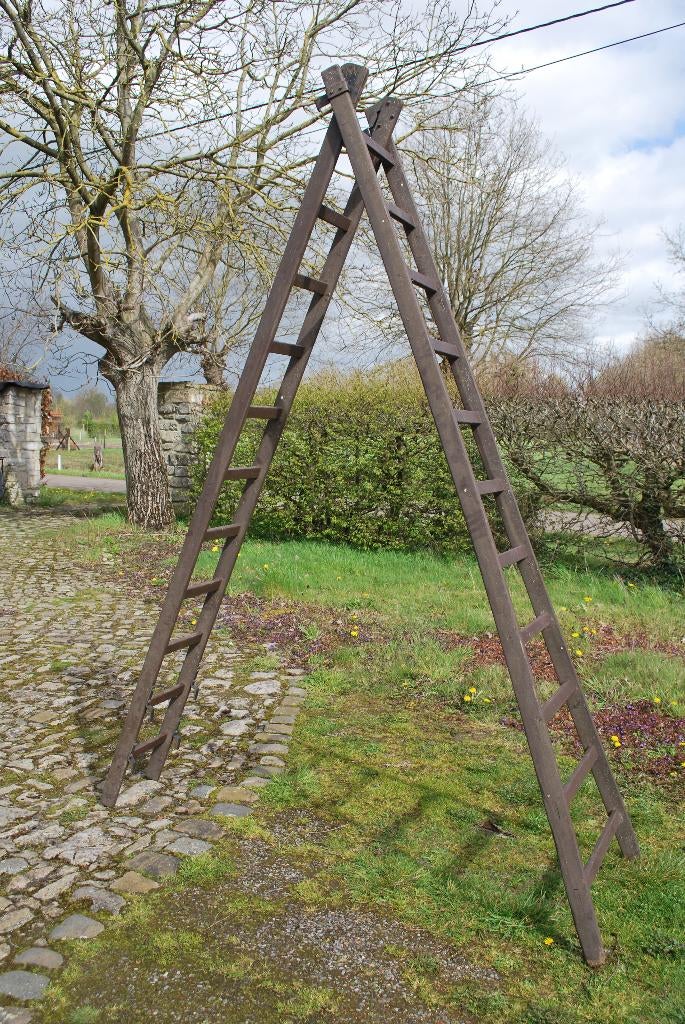 ladder in hout, Ophalen, Gebruikt, Ladder