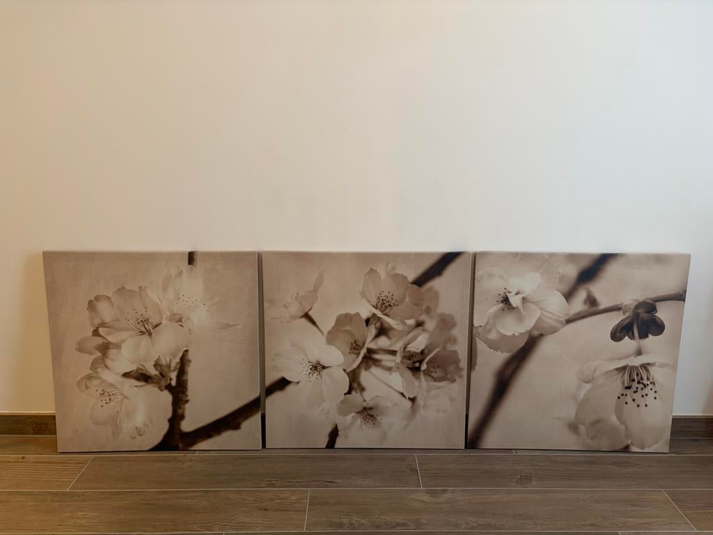 Ikea Pjätteryd Floral 3 canvas 56x56, Ophalen, Zo goed als nieuw, 50 tot 75 cm, 50 tot 75 cm