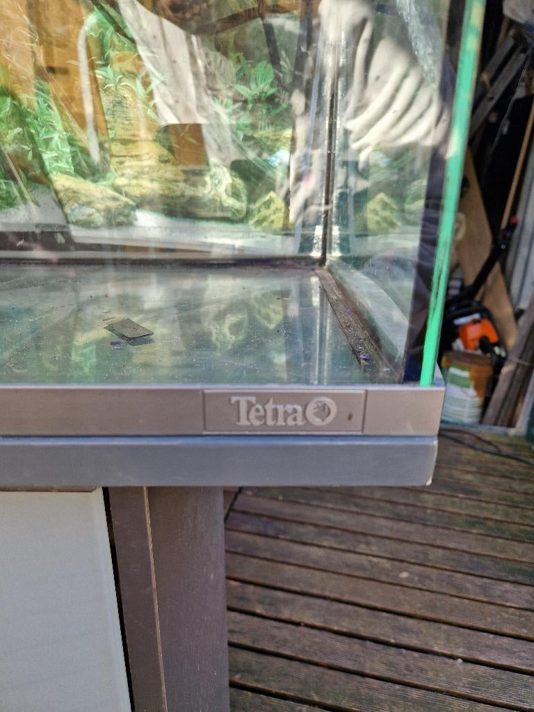 Tetra aquarium, Enlèvement, Comme neuf, Aquarium vide, Tetra