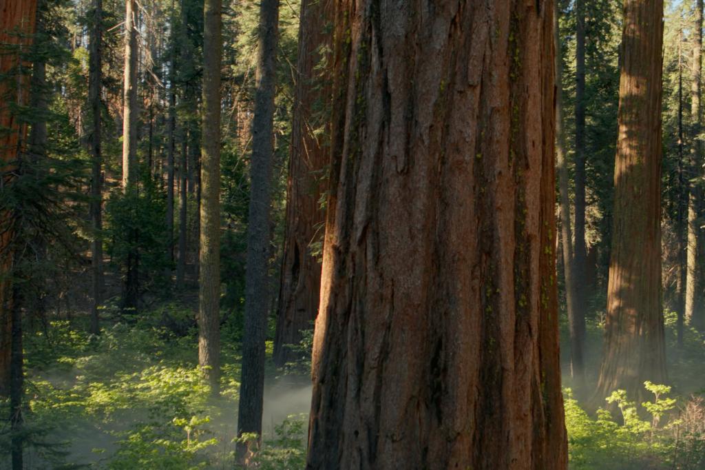 Recherche petite maison en wallonie, Immo, Op zoek naar een huis