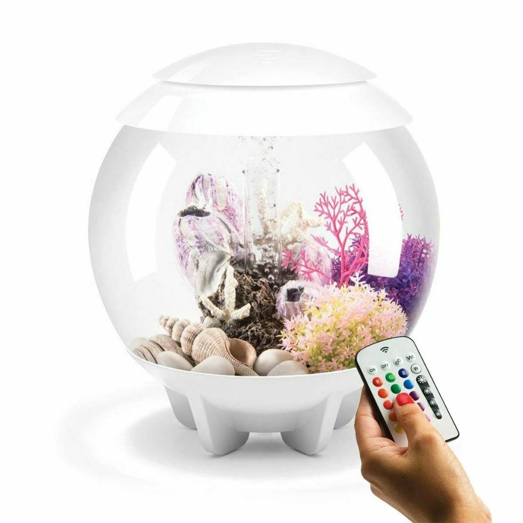 aquarium 30L biorb complet, Dieren en Toebehoren, Ophalen, Zo goed als nieuw, Overige typen