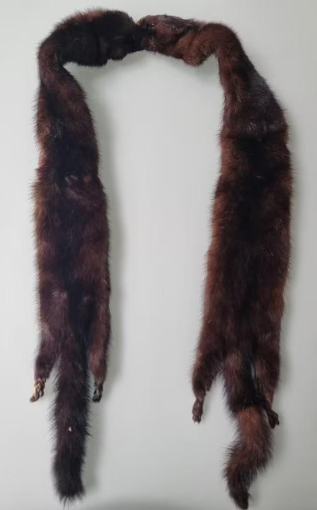 Magnifique Étole écharpe en fourrure VISON vintage, Vêtements | Femmes, Enlèvement ou Envoi, Porté, Écharpe