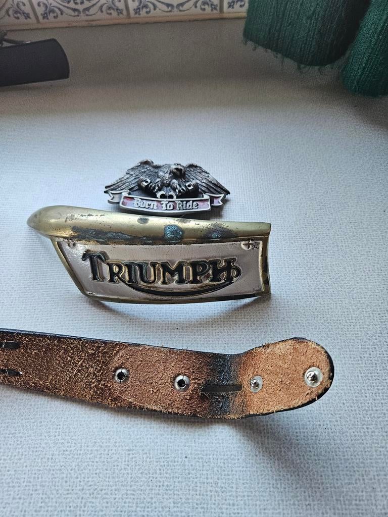 Lederen riem met afneembare gesp + 2 buckles, Particulier