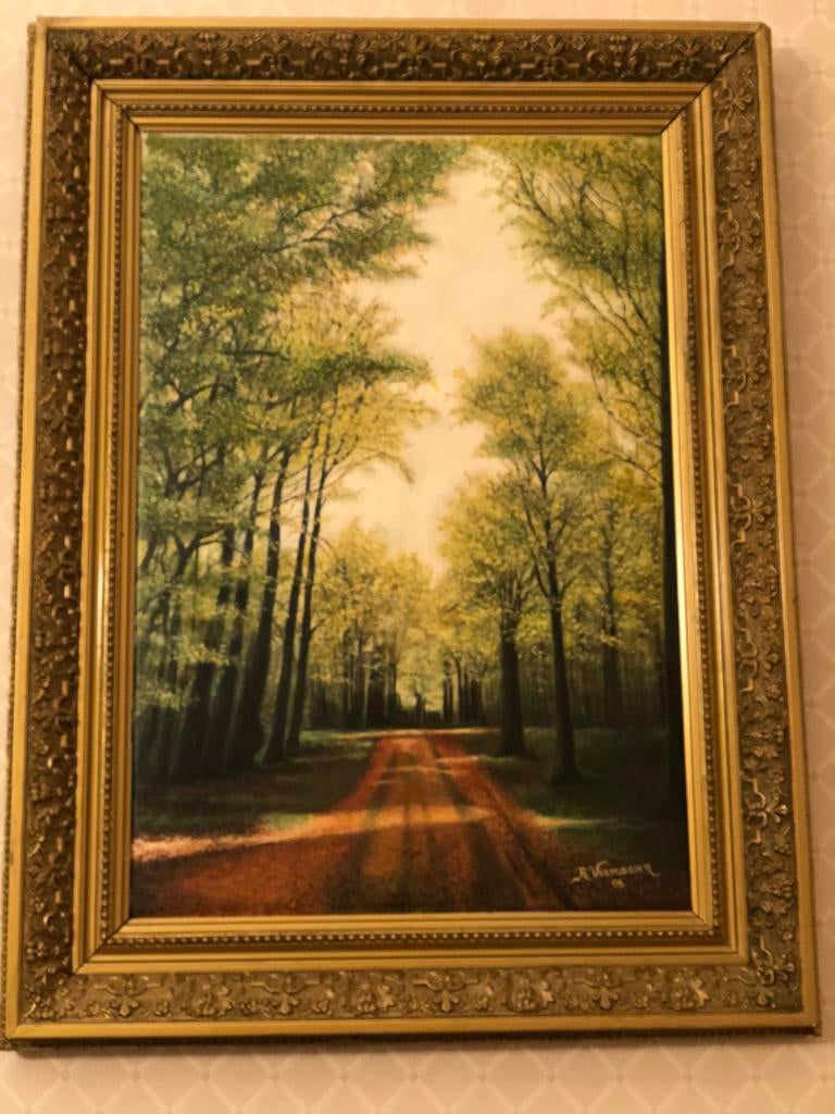 Tableau huile sur toile foret de Soignes, Enlèvement ou Envoi