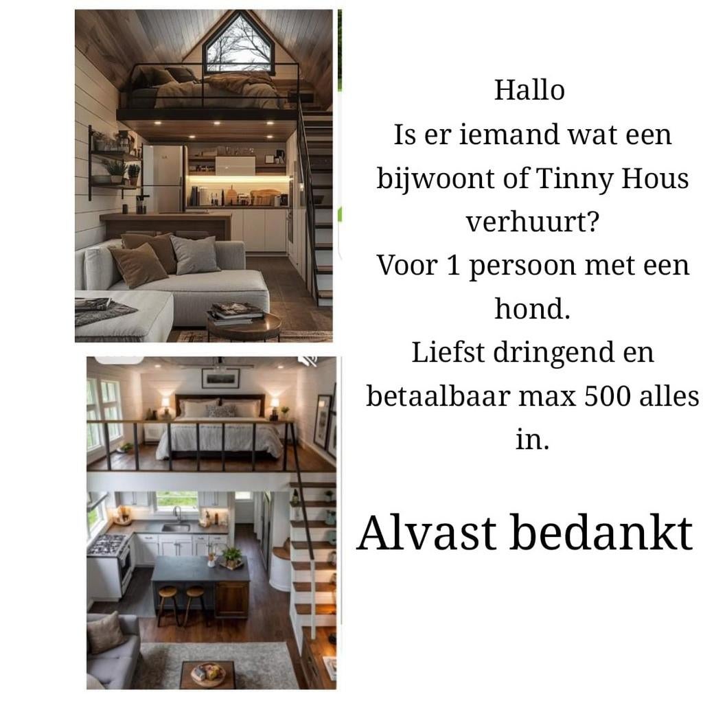 Studio GEZOCHT voor 1 persoon met hond, Immo