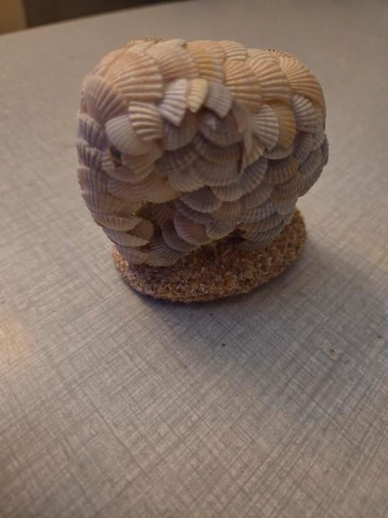 Vintage 70's olifant-schelpenbeeldje., Ophalen of Verzenden, Zo goed als nieuw, Dier